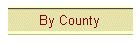 Body Shops by County
